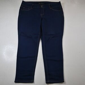 Blue Desire 22W Mid Rise Curvy Skinny Rinse Stretch Denim Womens Jeans